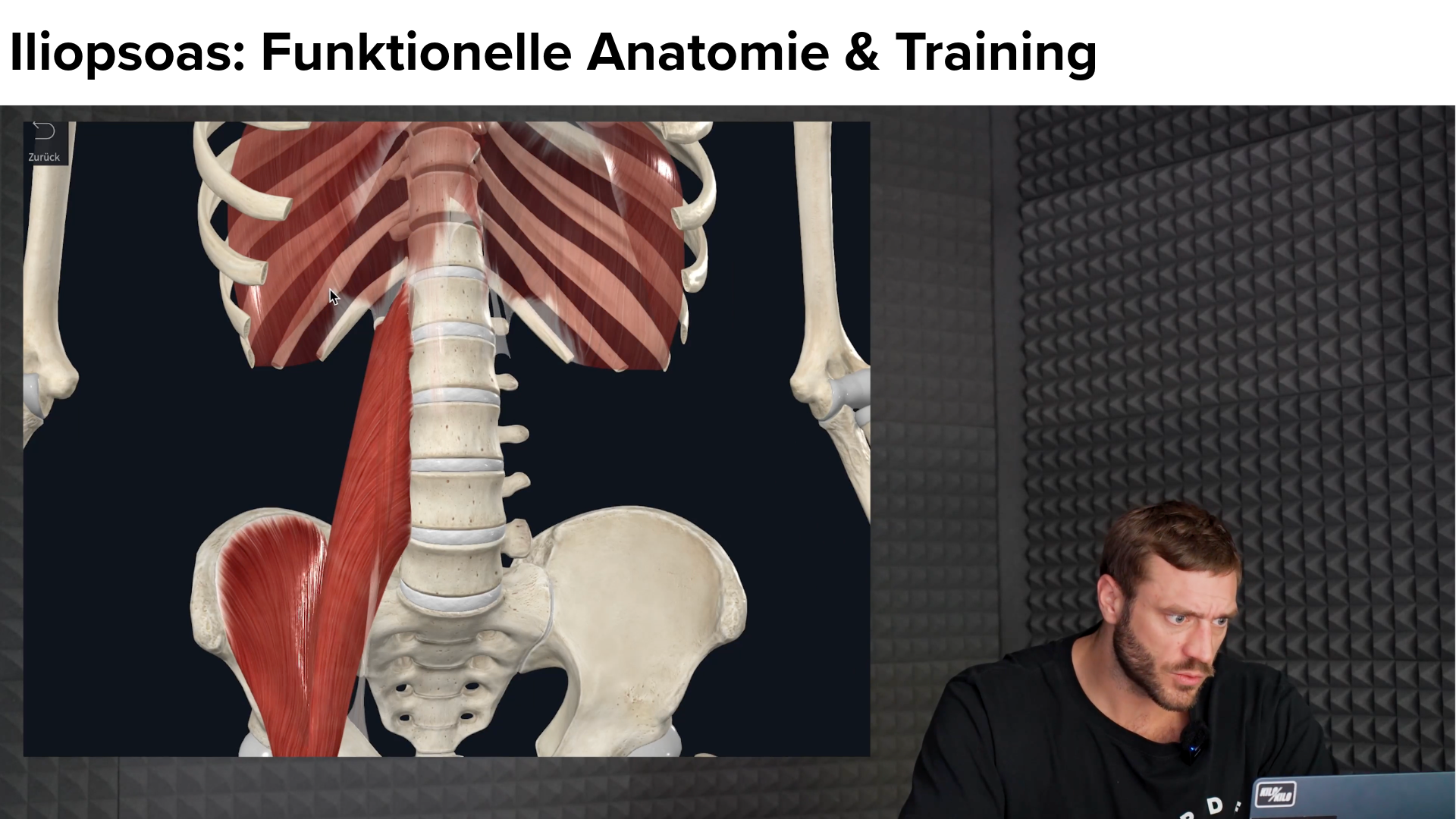 Angewandte Biomechanik